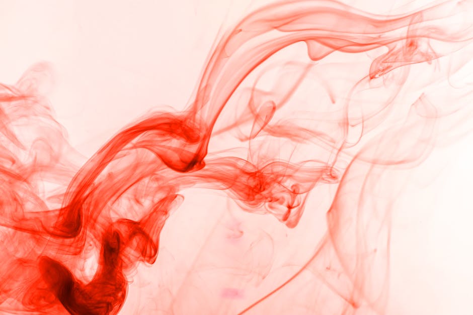 신청하기 좋은 대학 학과 선택하는 방법