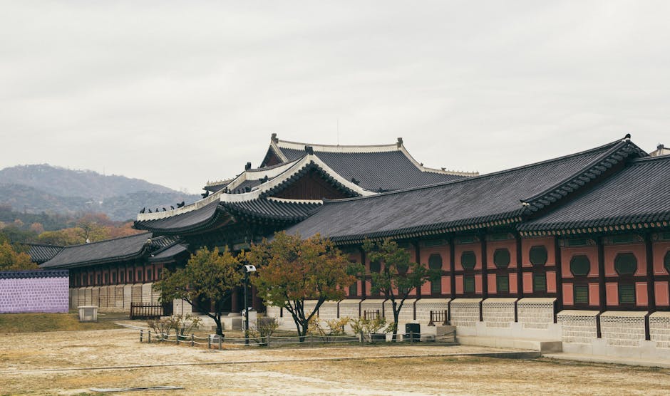 서울대학교 청강을 위한 신청 팁 및 준비사항