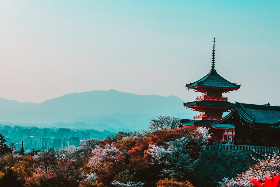 일본 워킹 홀리데이 비자 신청 필수 서류 및 절차 알아보기