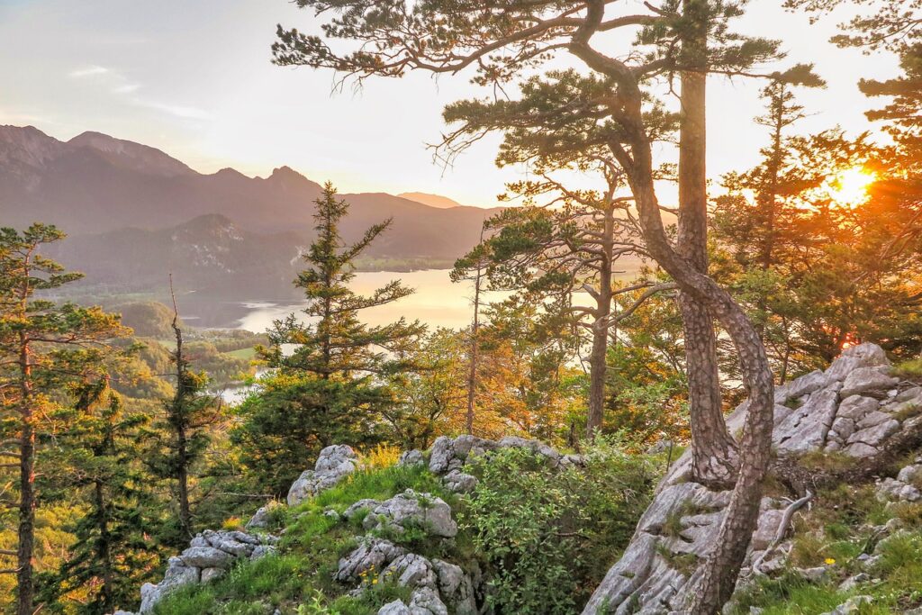 삼성 as 신청 꿀팁 알아보자